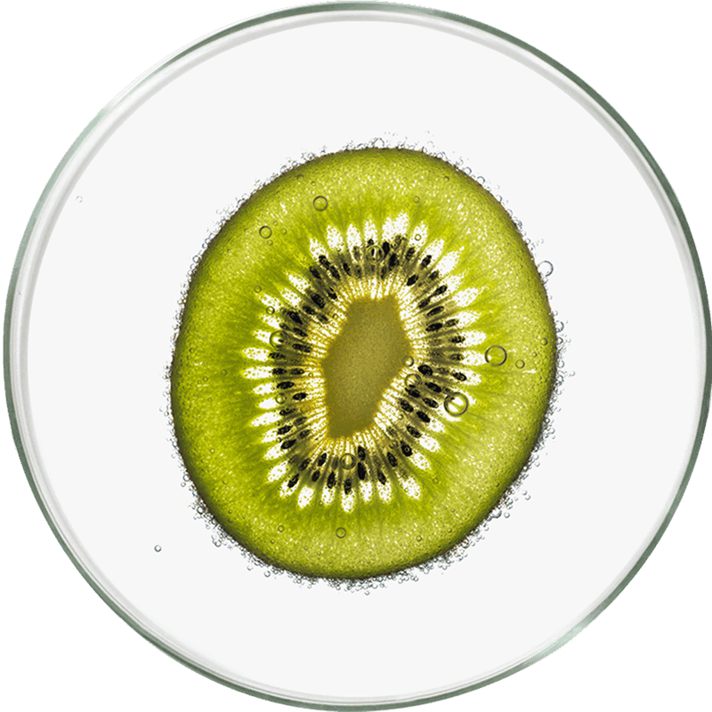 Actazin_Kiwifruchtpulver_0fe7cdfae0.png